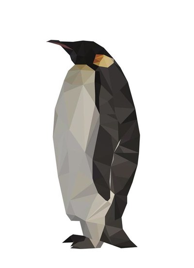 Tiere Zeichnen mit Illustrator